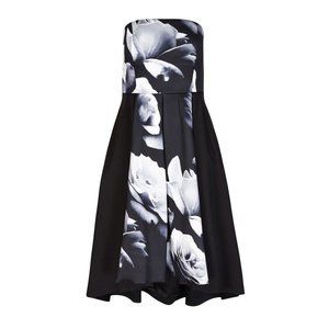 NWT Womens Plus Size 20W City Chic Black White Blown Rose Hi-Lo Floral Dress